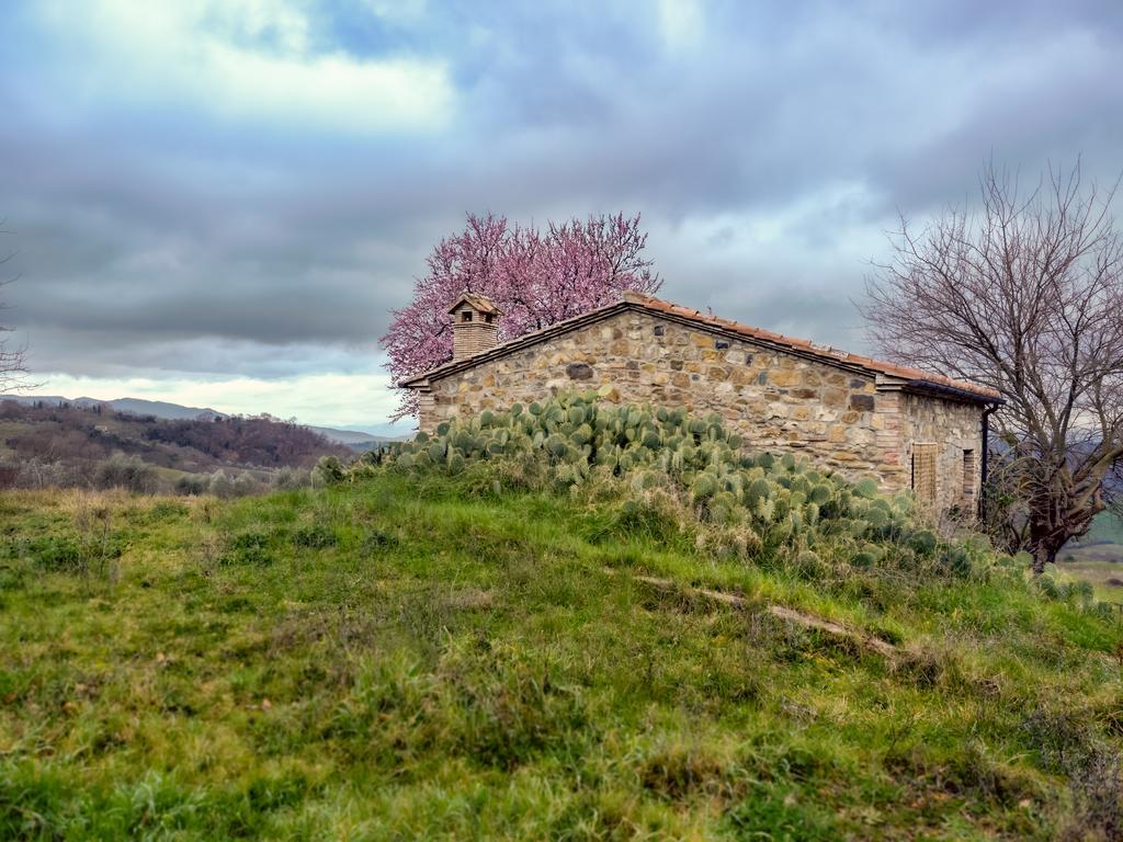Agriturismo Le Canterie Radicondoli Exteriör bild