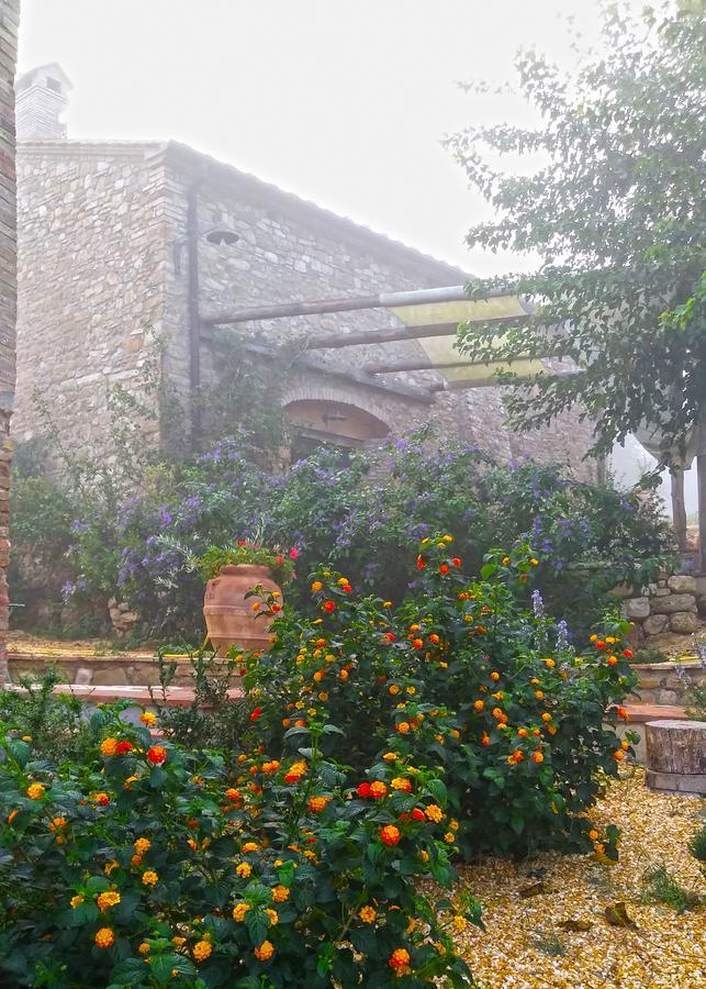 Agriturismo Le Canterie Radicondoli Exteriör bild