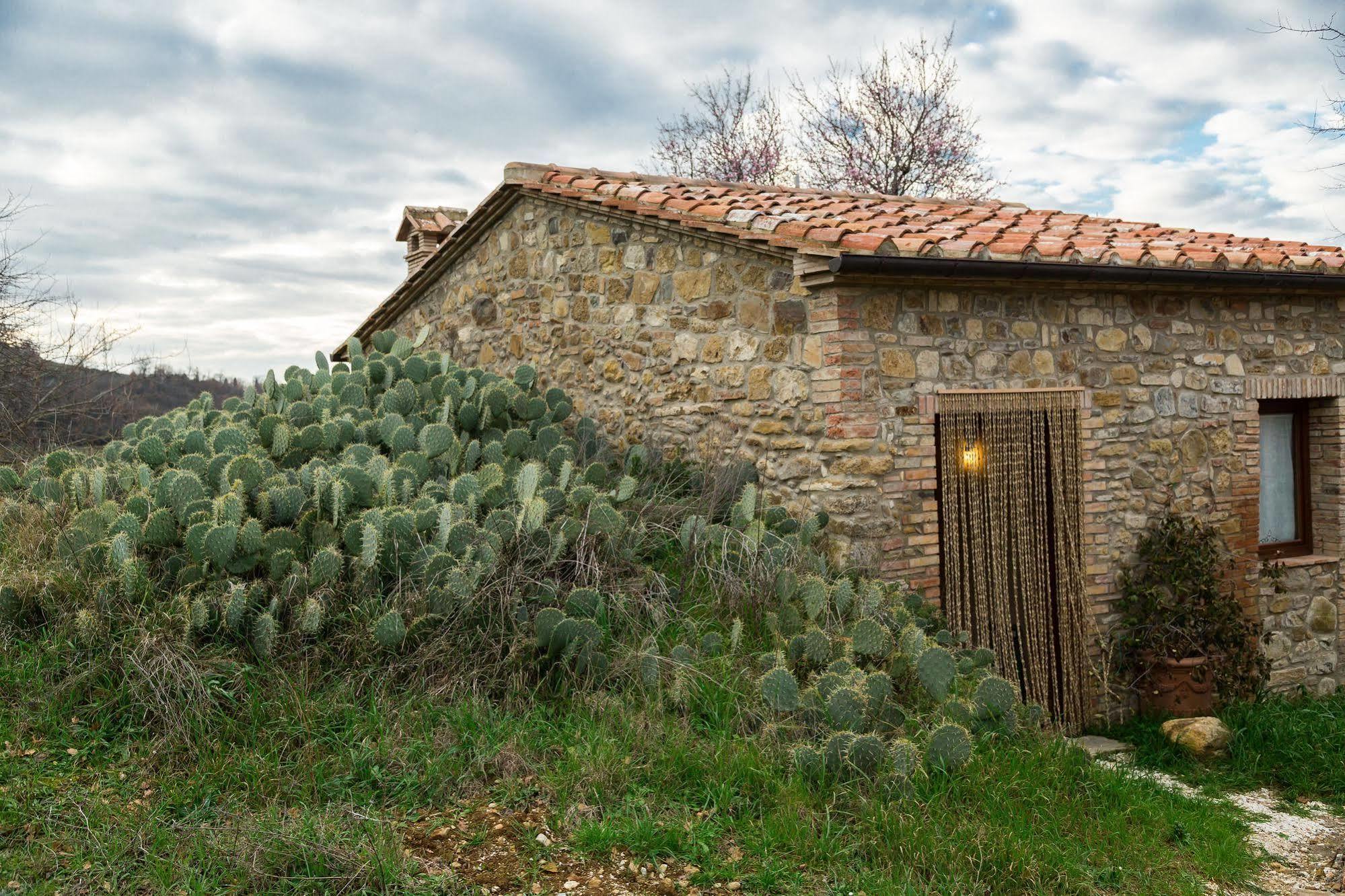 Agriturismo Le Canterie Radicondoli Exteriör bild