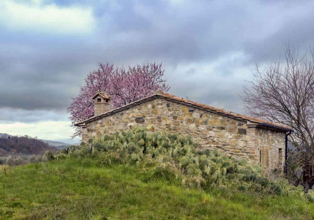 Agriturismo Le Canterie Radicondoli Exteriör bild